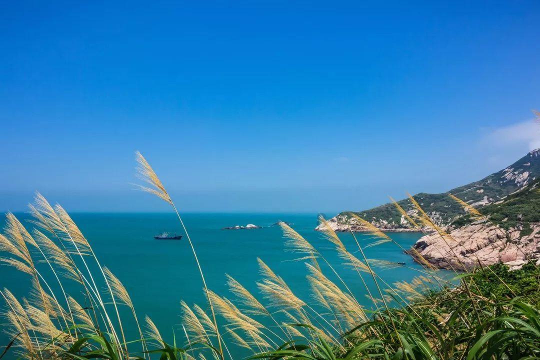 拯救精灵的土地10